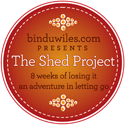 Bindu Wiles the Shed Project
