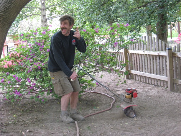 Working with a Small RotoTiller under a Large Maple