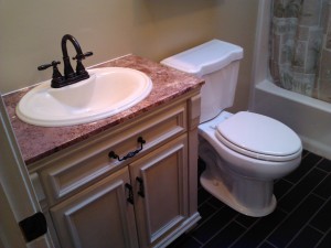 Small Bathroom Remodel :: Toilet & Vanity (St. Paul Home Products)