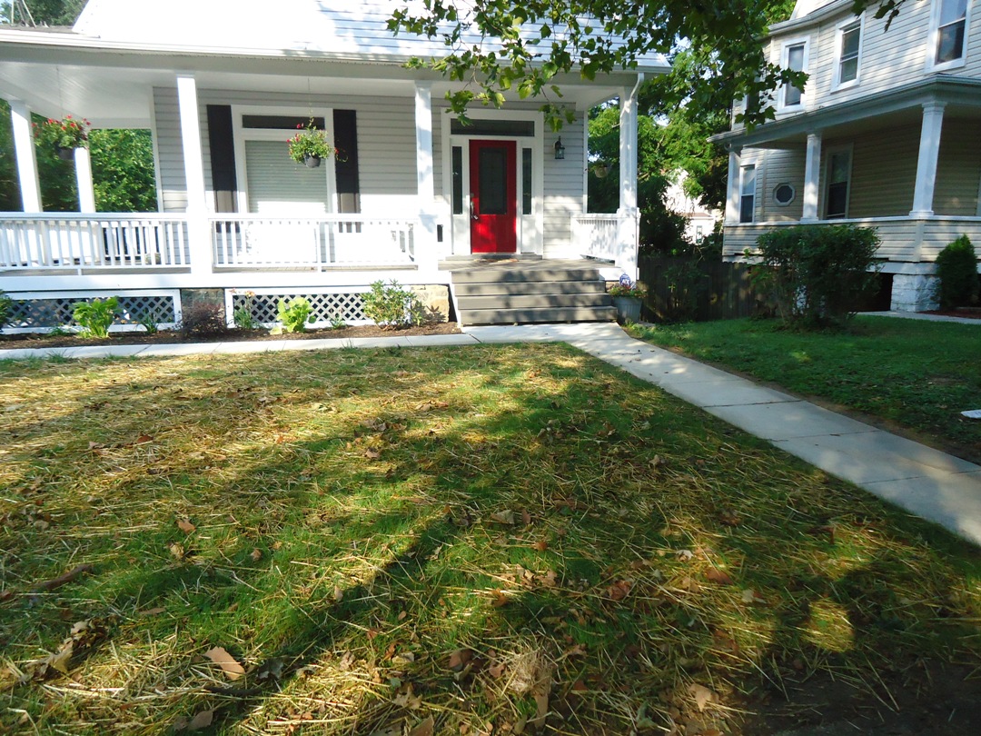 Seeding a New Lawn with Pennington Seed's Smart Seed Building Moxie