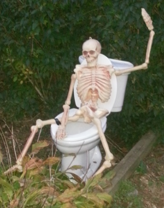 skeleton on a toilet