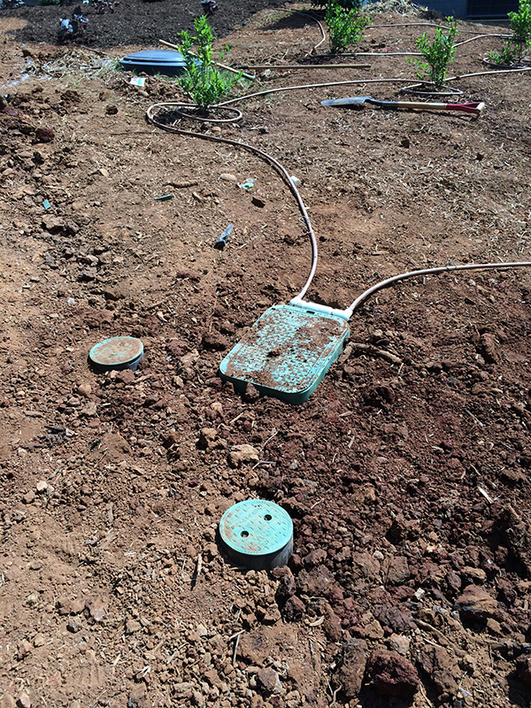 Irrigation 101 The Basics of a Residential Irrigation System