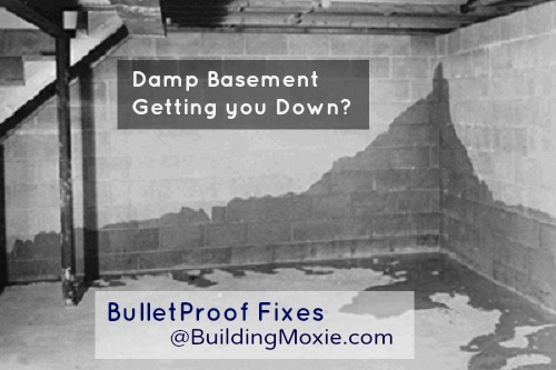 The Major Causes Of A Damp Basement How To Fix Them The Problem Of Water Entering A Basement Can Get Particularly Acute In Spring And Summer First When Snows Melt Early It Turns Into Ground