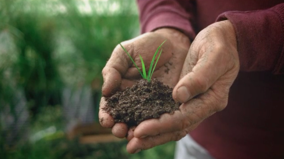 Lawn Care Tips from Pennington Seed The Seeds of Knowledge