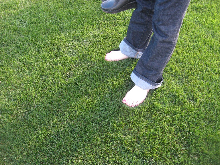 Plushy Grass Starting SawDust_Girl