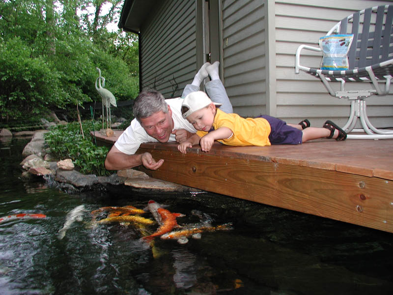 Tips for Designing a Backyard Pond :: Building Moxie