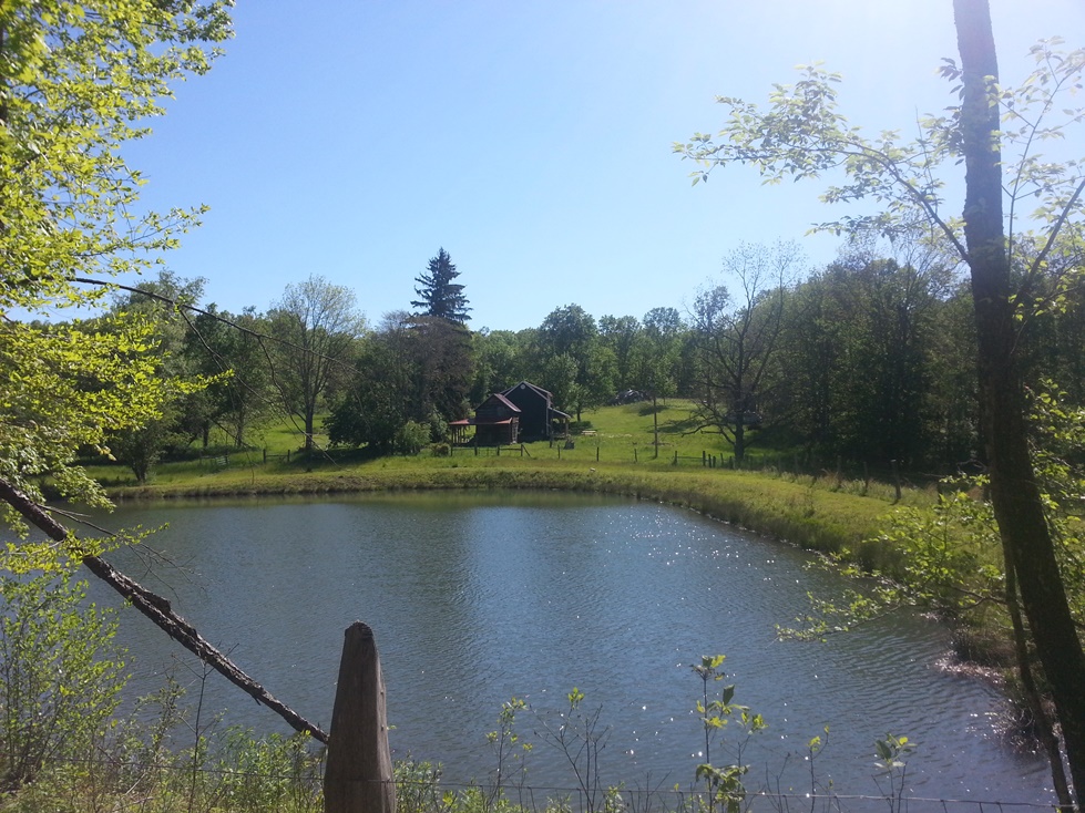 blog cabin across the fishing pond