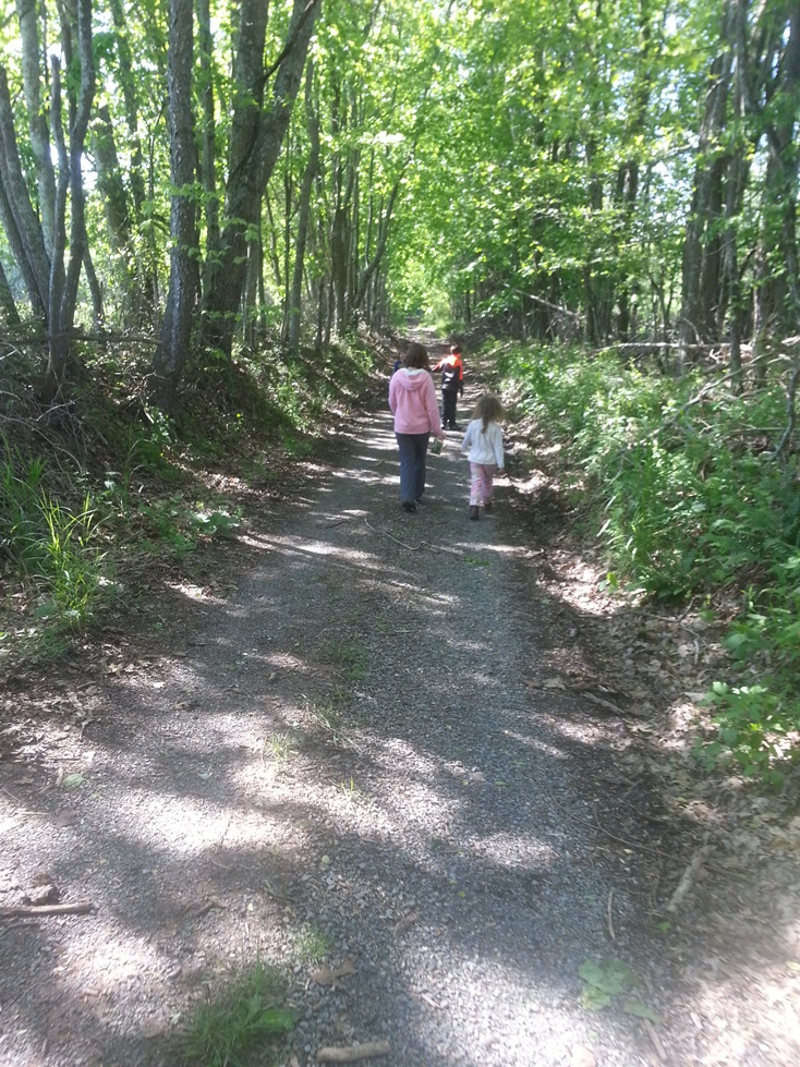 the kids walking down a country road