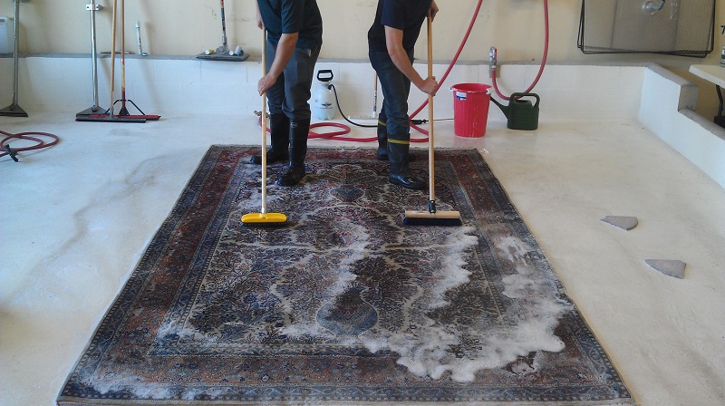 Image result for How to Clean Area Rugs?