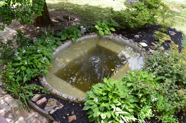 Landscaping | Restoring a Concrete Pond: Repairing Cracks, Parging