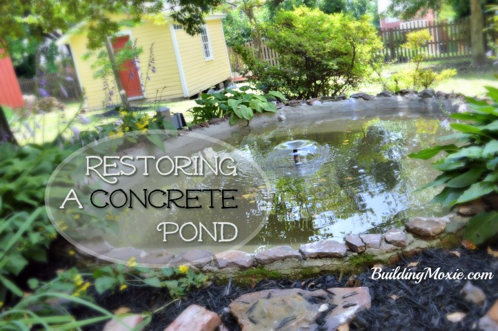 Landscaping Restoring A Concrete Pond Repairing S Parging How To Re A Concrete Pond